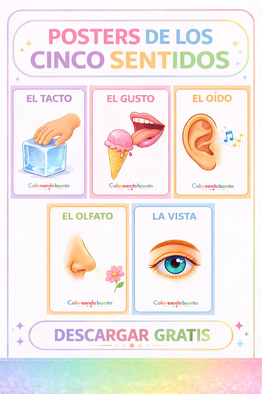 Posters de los cinco sentidos para niños imprimibles vista oído olfato gusto tacto