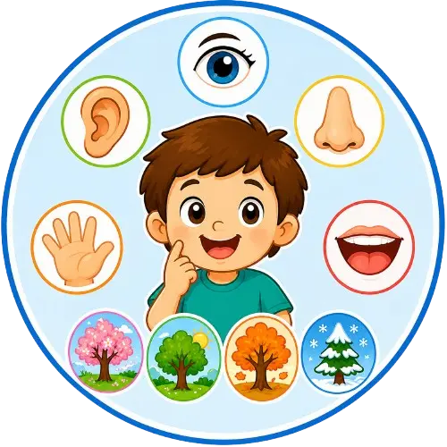 Fichas de aprendizaje básico para niños